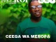Ceega – Meropa 227 We Love Mzansi House mp3 download zamusic