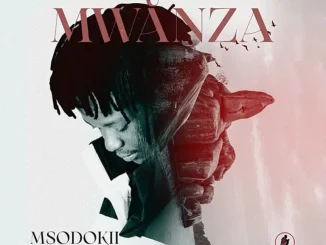 Msodokii Mwanza 768x784