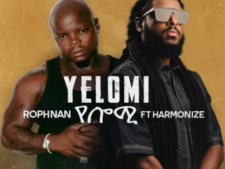 Rophnan Harmonize – YELOMI