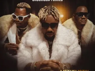 Organized Family – Paint